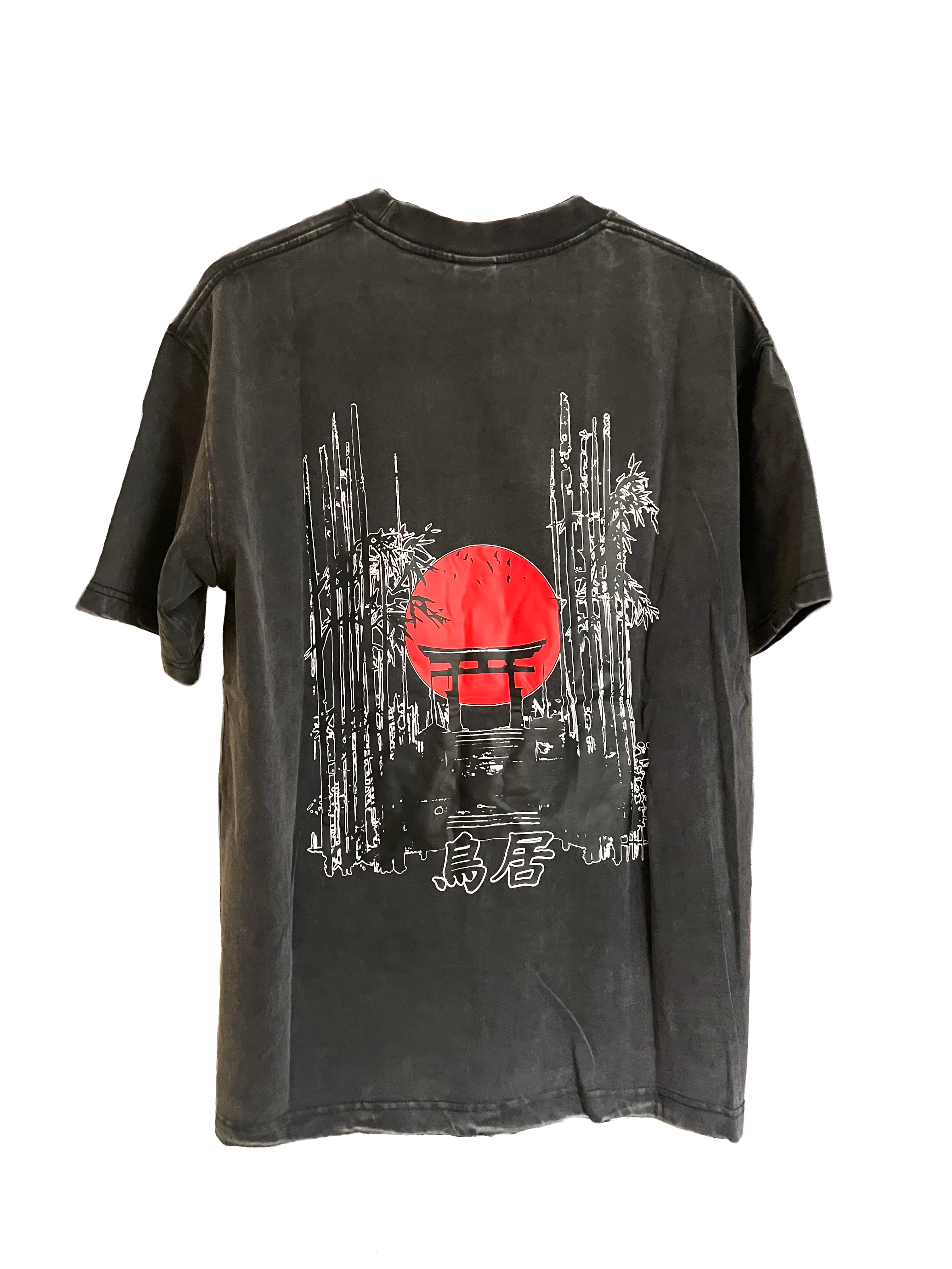 GAANJI Prototype Drop